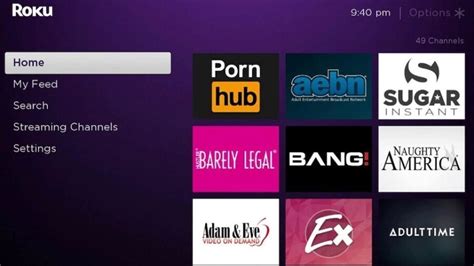 what tv apps have porn|List of Roku Porn Channels & Apps: Best Alternatives in 2024